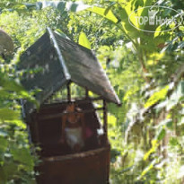 Nandini Jungle by Hanging Gardens 