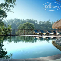 Nandini Jungle by Hanging Gardens 