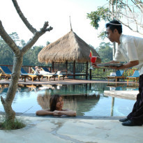 Nandini Jungle by Hanging Gardens 