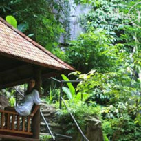 Nandini Jungle by Hanging Gardens 