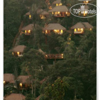 Nandini Jungle by Hanging Gardens