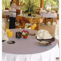 Nandini Jungle by Hanging Gardens