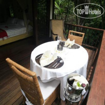 Nandini Jungle by Hanging Gardens