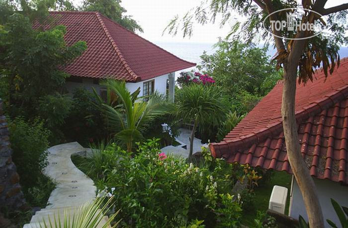 New photos from tourists Anda Amed Resort 3*