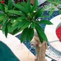 Athena Garden Hot Spring & Spa Villa 