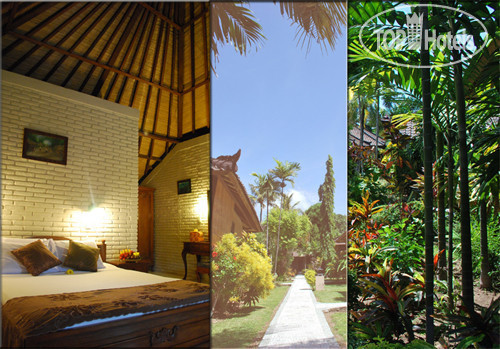 New photos from tourists Hidden Paradise Cottages 3*