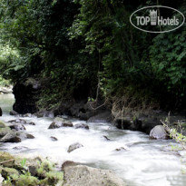 Tanah Merah Resort & Gallery 