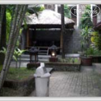 Bali Coconut