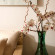 The Seiryu Villas 