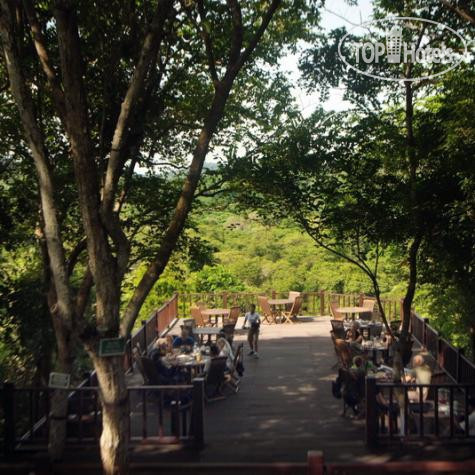 New photos from tourists The Menjangan 4*