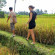 Puri Sunia Resort 