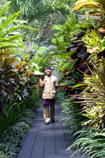 New photos from tourists Villa Jodie 3*