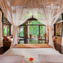 Fivelements Puri Ahimsa 