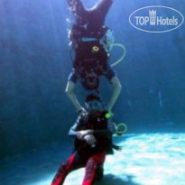 Dive Today Resort