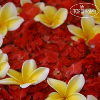 Grand Akhyati Villas & SPA 