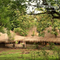 Jati Village Территория отеля