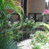 Pitara Cottage Сад