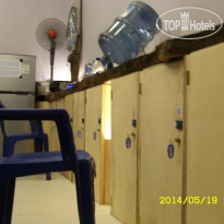 Calypso Backpackers Территория отеля