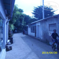 Calypso Backpackers Территория отеля