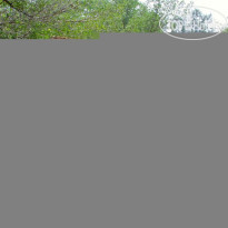 Seri Resort & Yoga Retreat 