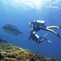 Diversia Diving Club & Bungalows Дайвинг