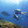 Diversia Diving Club & Bungalows Дайвинг