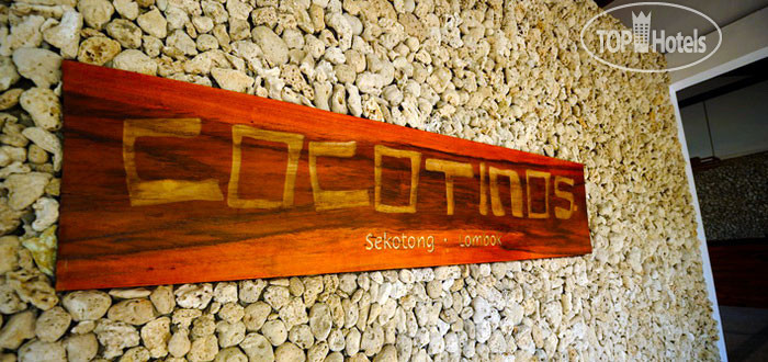 Cocotinos Sekotong