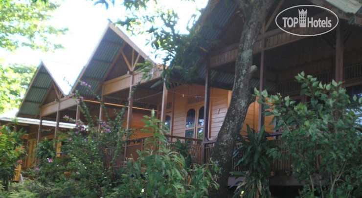 New photos from tourists MC Cottage Bunaken 2*