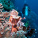 Mamaling Souldiving Bunaken 