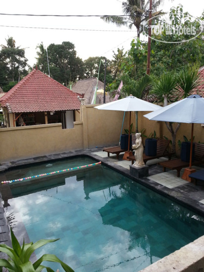New photos from tourists Adi Bungalow 3*