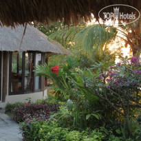 Coconuts Beach Resort 