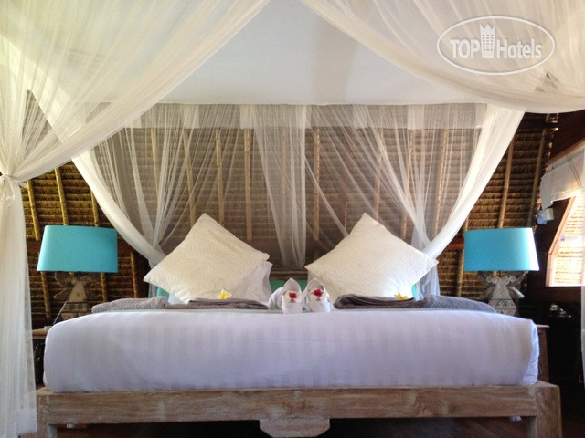 New photos from tourists Tigerlillys Boutique Hotel 3*