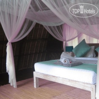 Tigerlillys Boutique Hotel 