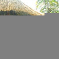 Mushroom Bay Villas Hut 