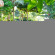Tamarind Beach Bungalows 