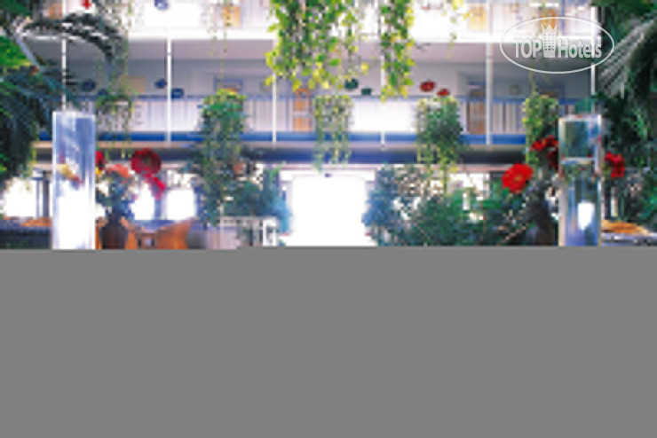 New photos from tourists Beach Plaza Hotel 4*