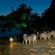 Minang Cove Resort and Spa