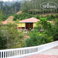 Rain Forest Resort 