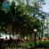Batu Burok Beach Resort 
