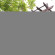 Arwana Perhentian Eco Resort & Beach Chalet 