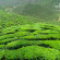 Copthorne Hotel Cameron Highlands 