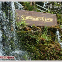 Strawberry Park Resort