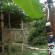 D Paradise 