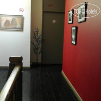 Number Eight Guesthouse 