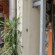 Natalie Guesthouse 