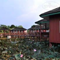 Firefly Park Resort