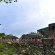 Firefly Park Resort 