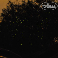 Firefly Park Resort