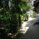 Mali-Mali Beach Resort 