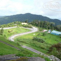 D Coconut Hill Resort